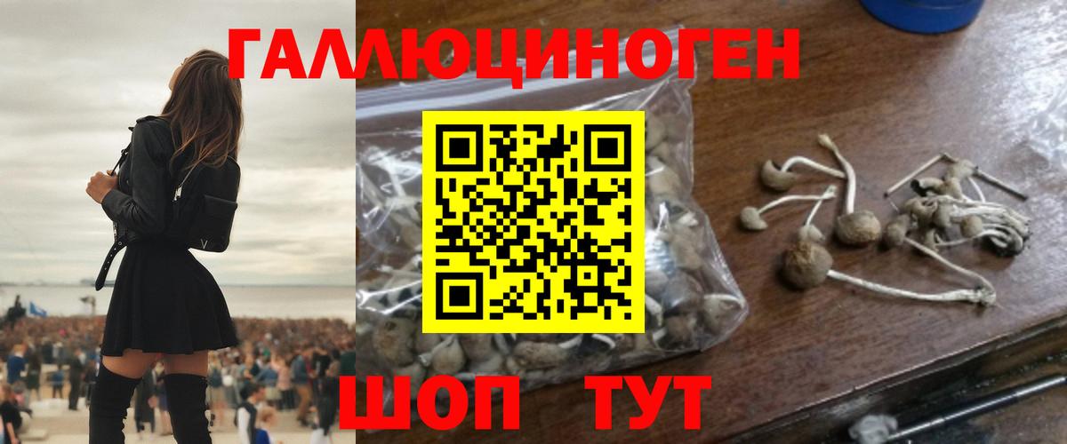 Галлюциногенные грибы GOLDEN TEACHER  Вход с VPN  Звенигород 
